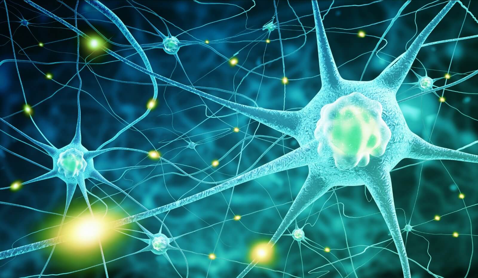neurons-banner-1.jpg